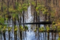 027_Biebrza - kwiecien 2012
